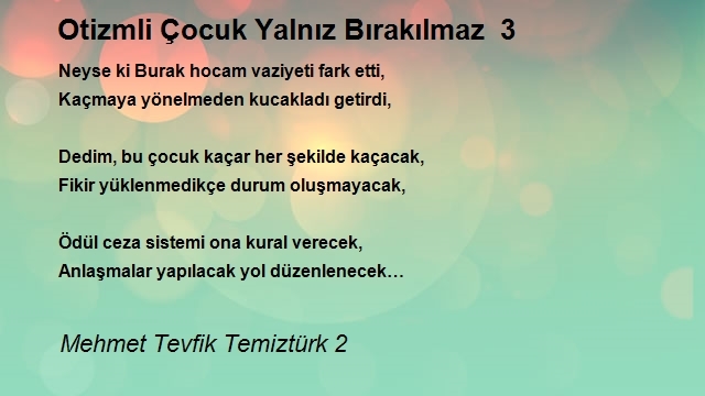 Mehmet Tevfik Temiztürk 2