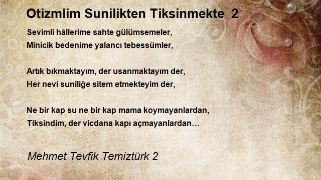 Mehmet Tevfik Temiztürk 2