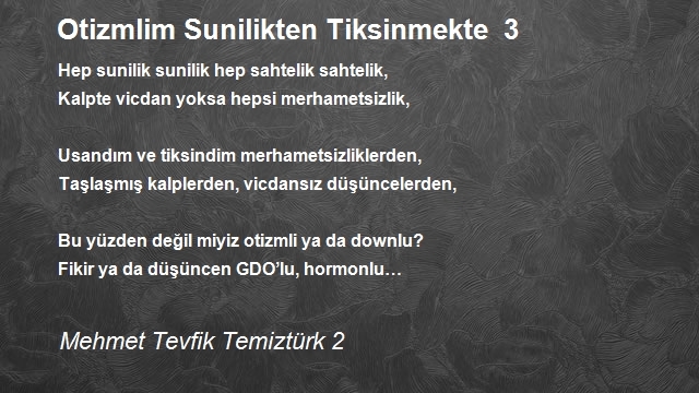 Mehmet Tevfik Temiztürk 2