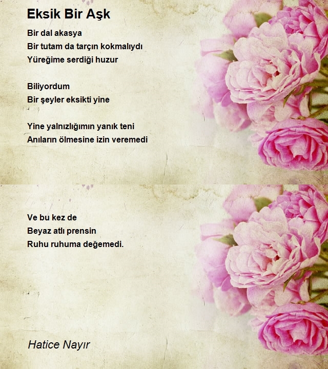 Hatice Nayır