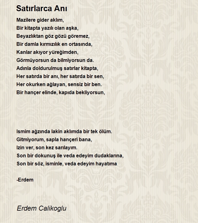 Erdem Calikoglu