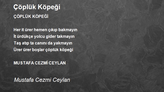 Mustafa Cezmi Ceylan