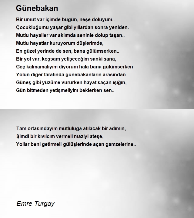 Emre Turgay