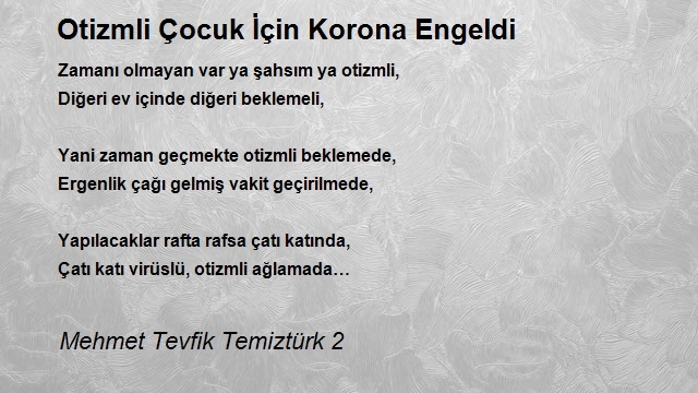 Mehmet Tevfik Temiztürk 2