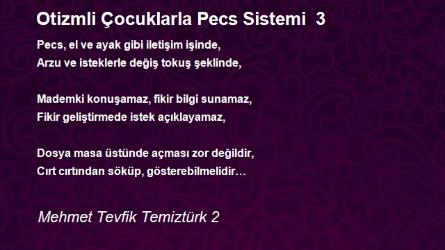 Mehmet Tevfik Temiztürk 2