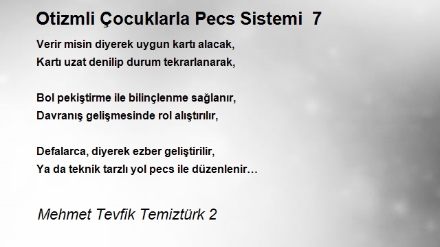 Mehmet Tevfik Temiztürk 2