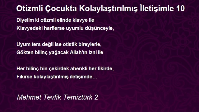 Mehmet Tevfik Temiztürk 2