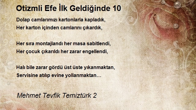 Mehmet Tevfik Temiztürk 2