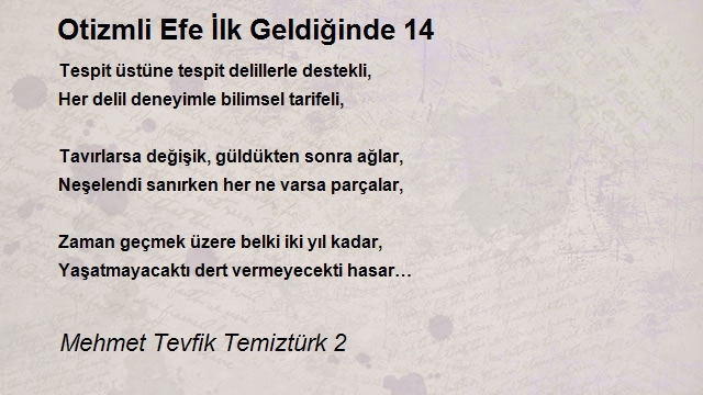 Mehmet Tevfik Temiztürk 2