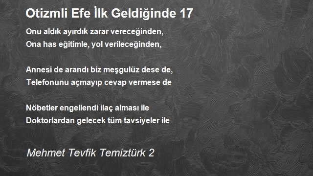 Mehmet Tevfik Temiztürk 2