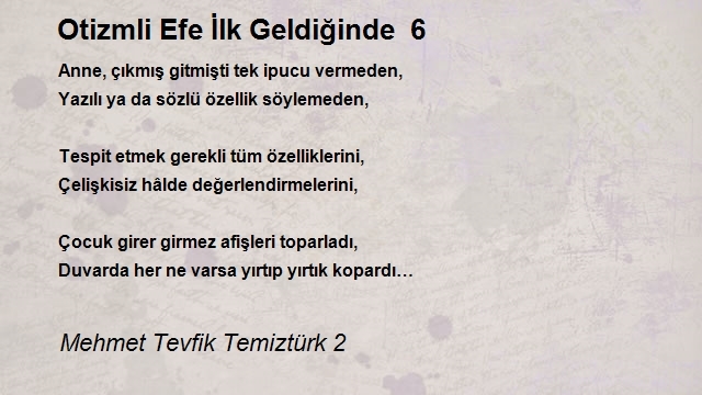 Mehmet Tevfik Temiztürk 2