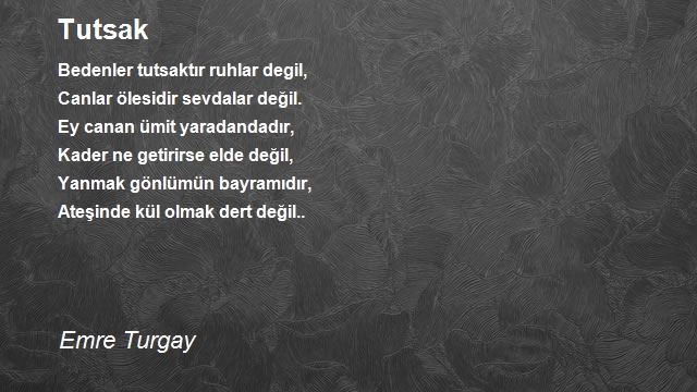 Emre Turgay