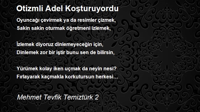 Mehmet Tevfik Temiztürk 2