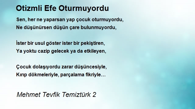 Mehmet Tevfik Temiztürk 2