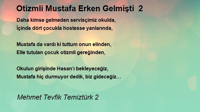 Mehmet Tevfik Temiztürk 2