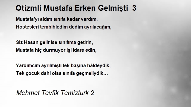 Mehmet Tevfik Temiztürk 2