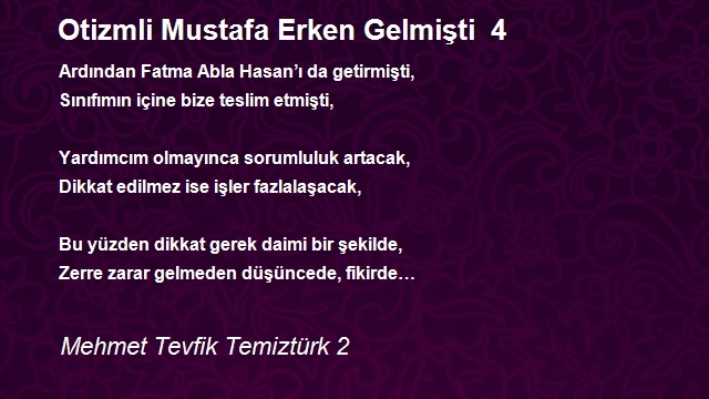 Mehmet Tevfik Temiztürk 2