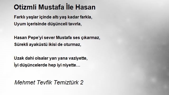 Mehmet Tevfik Temiztürk 2