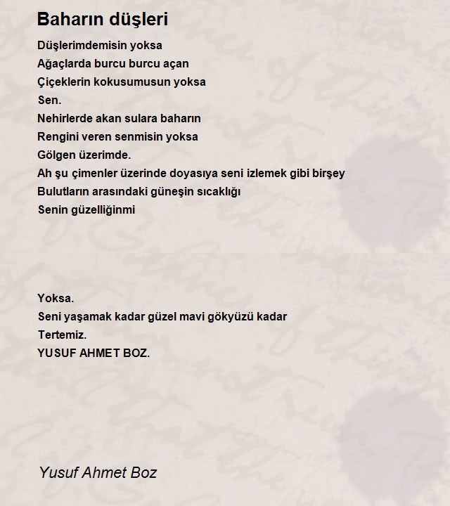 Yusuf Ahmet Boz