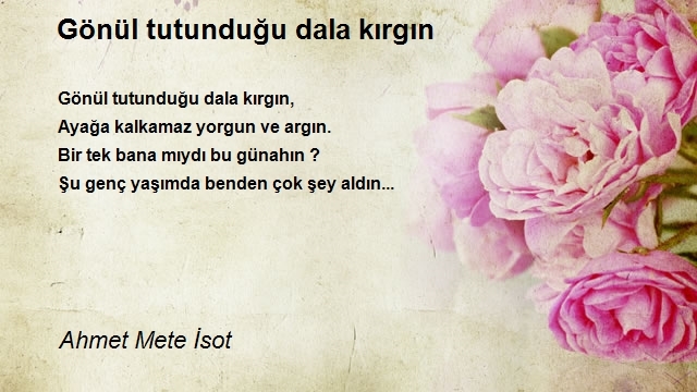 Ahmet Mete İsot