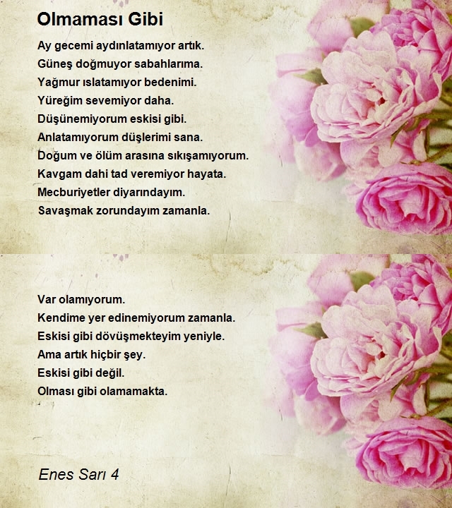 Enes Sarı 4