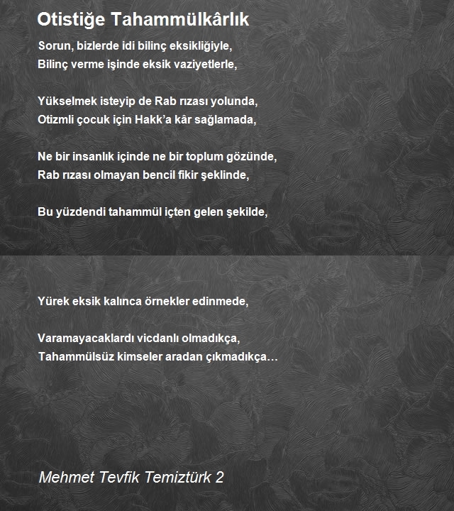 Mehmet Tevfik Temiztürk 2