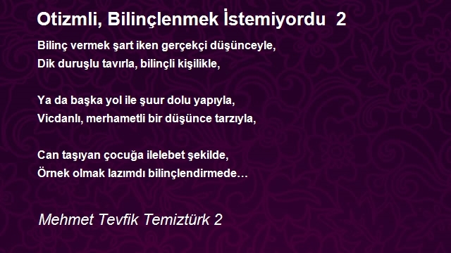 Mehmet Tevfik Temiztürk 2