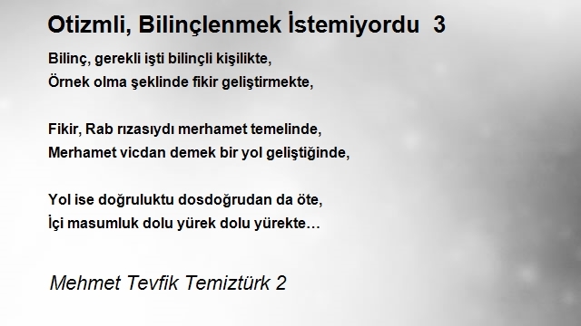 Mehmet Tevfik Temiztürk 2