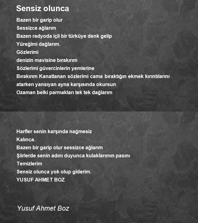 Yusuf Ahmet Boz