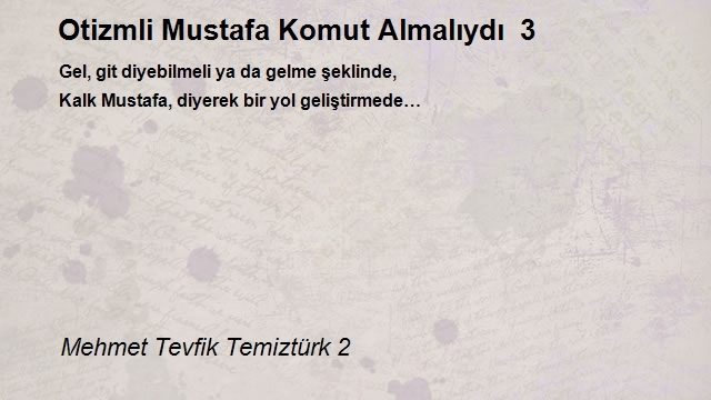 Mehmet Tevfik Temiztürk 2