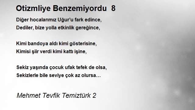 Mehmet Tevfik Temiztürk 2