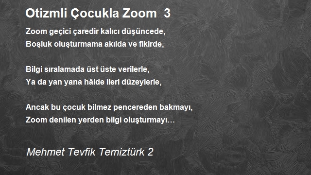 Mehmet Tevfik Temiztürk 2