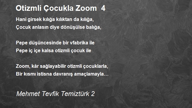 Mehmet Tevfik Temiztürk 2