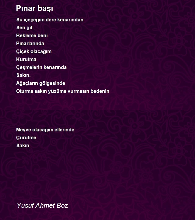 Yusuf Ahmet Boz