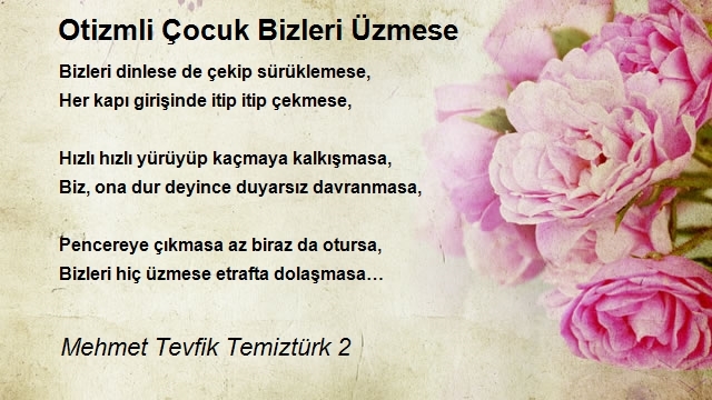 Mehmet Tevfik Temiztürk 2