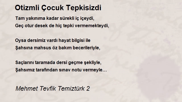 Mehmet Tevfik Temiztürk 2