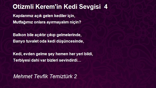 Mehmet Tevfik Temiztürk 2