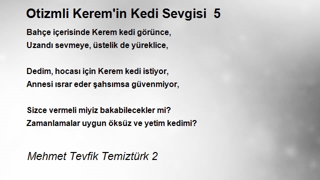 Mehmet Tevfik Temiztürk 2