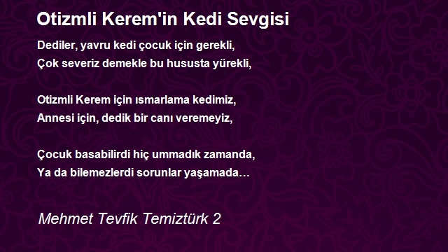 Mehmet Tevfik Temiztürk 2