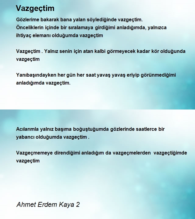 Ahmet Erdem Kaya 2