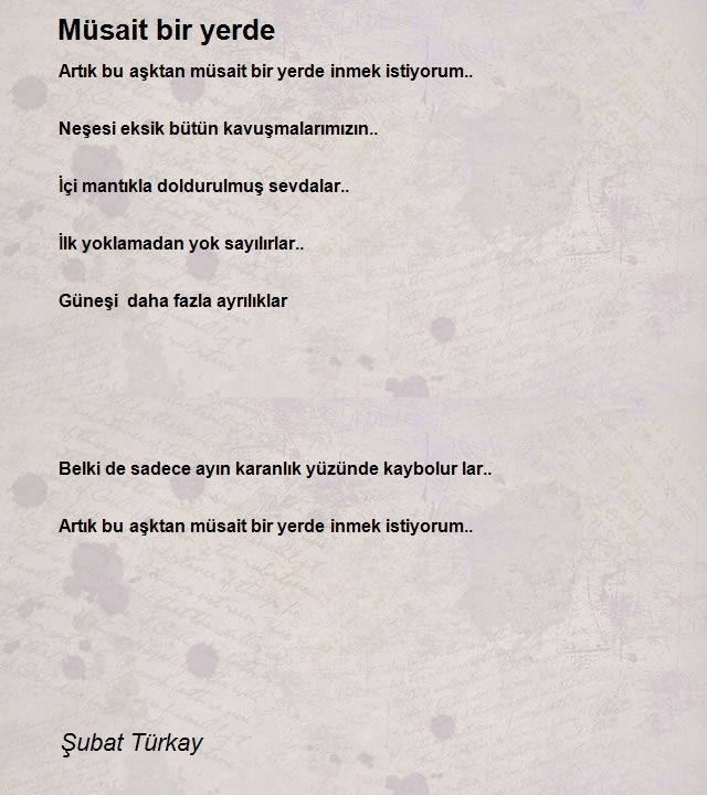 Şubat Türkay