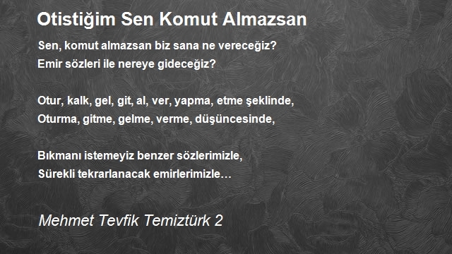 Mehmet Tevfik Temiztürk 2