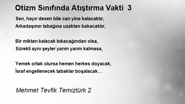 Mehmet Tevfik Temiztürk 2