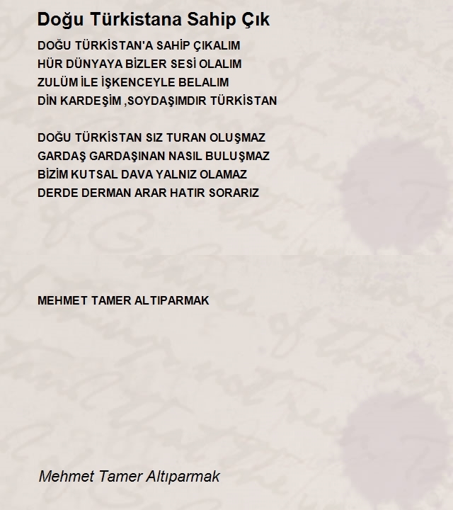 Mehmet Tamer Altıparmak