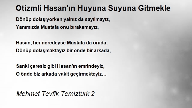 Mehmet Tevfik Temiztürk 2