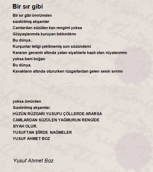 Yusuf Ahmet Boz