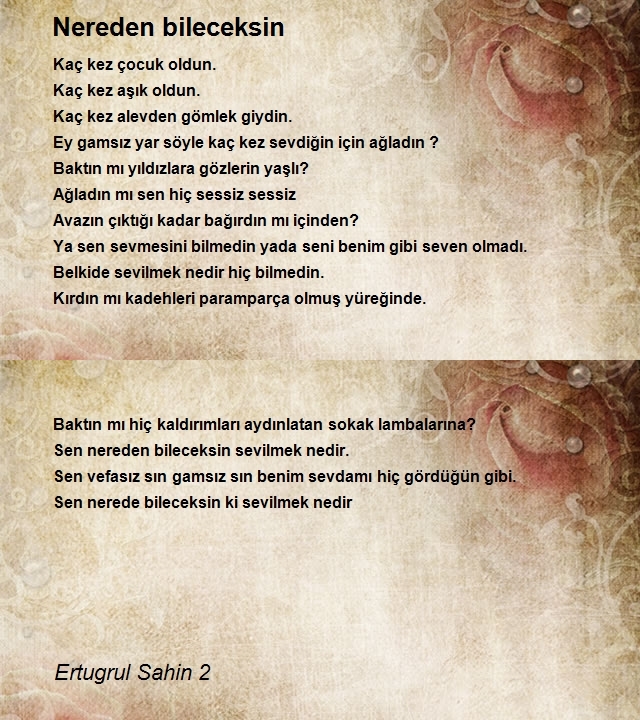 Ertugrul Sahin 2