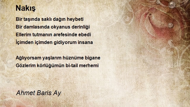 Ahmet Baris Ay