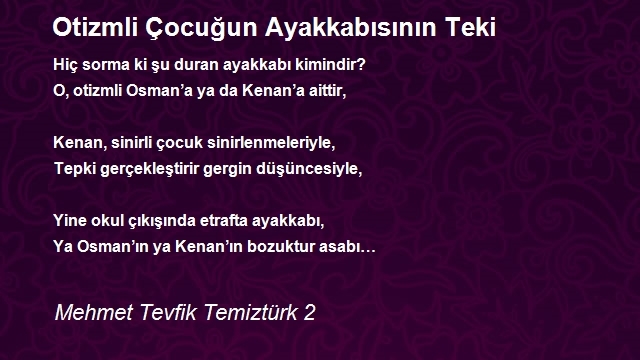 Mehmet Tevfik Temiztürk 2