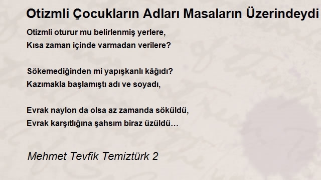 Mehmet Tevfik Temiztürk 2